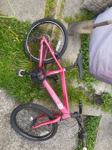 kids Raleigh 20"