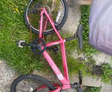 kids Raleigh 20"