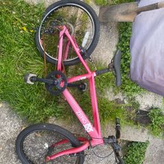 kids Raleigh 20"