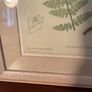 Pair of Laura Ashley Framed Botanical Fern prints Image 4