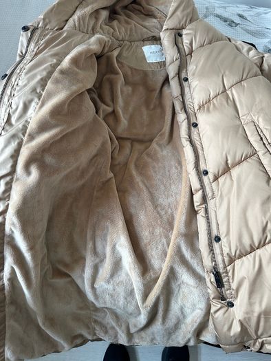 girls coats from next