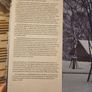 Wood. By Andy Goldsworthy. First Edition Very Large Hardback With Dustjacket In Good Condition   See Photos For Same Image 2