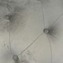 Stool Image 3