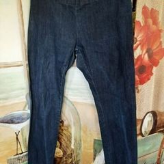 BDG Urban Outfitters Jeggings Size 28
