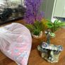 fish tank Image 3