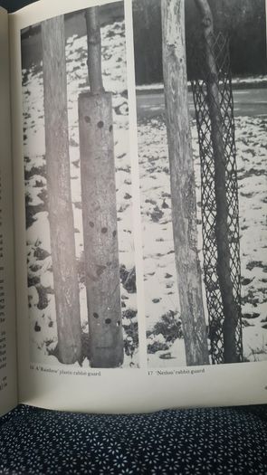 Trees For Town And Country By Peter Bridgeman. With A Frontispice By Henry Moore. Rare Vintage First Edition. Large Volume Hardback With Dustjacket In In Good Condition.