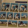 Ju-Jitsu A Path For Beginners Image 8