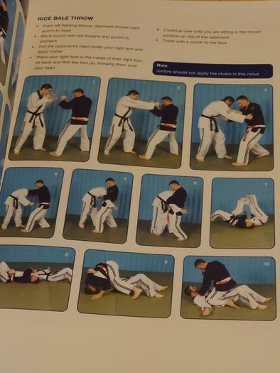 Ju-Jitsu A Path For Beginners