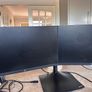 HP Z24 Monitors Image 2