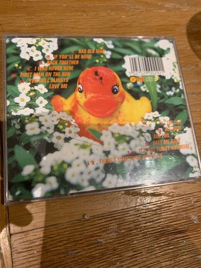 Babybird -There's Something Going On