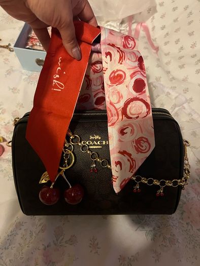 Coach Rowan bag