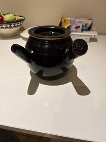 Japanese Kyusu teapot