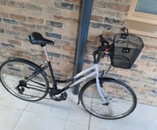 ladies bike( can deliver)