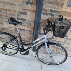 ladies bike( can deliver)