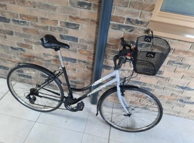 ladies bike( can deliver)