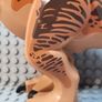 Lego T - Rex Image 4