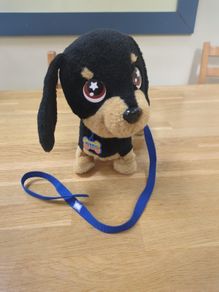 Waggles dog toy