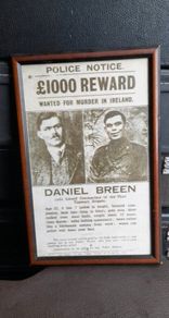 Framed Picture