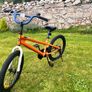 Royal baby freestyle bmx Image 7