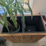 Wood planter double indoor outdoor Image 3
