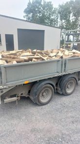 ash timber
