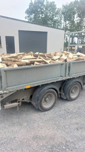 ash firewood. Seasoned.