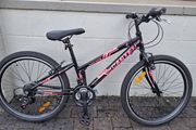 Junior Mountain Bike
