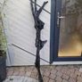 bog oak Image 7