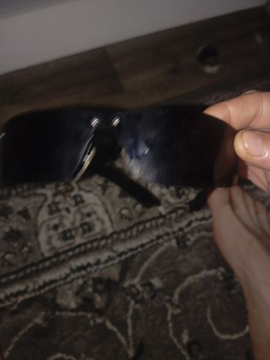 Calvin Klein sunglasses