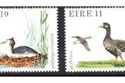 1979 Ireland Fauna and Flora: Birds Commemorative Stamp Mint Never Hinged (MNH)