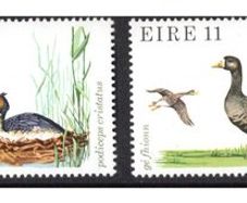 1979 Ireland Fauna and Flora: Birds Commemorative Stamp Mint Never Hinged (MNH)