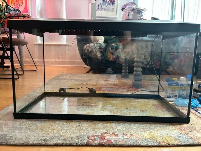 100L Fish tank - Complete set up.