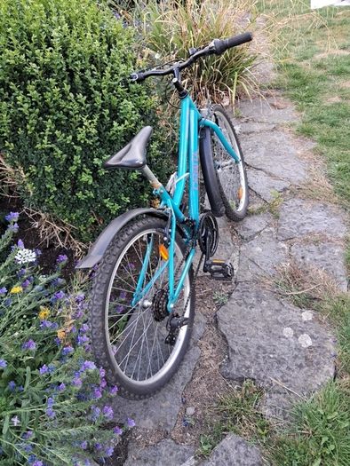 kids bike aged 8-12