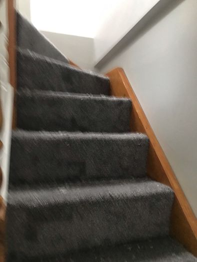 Carpet