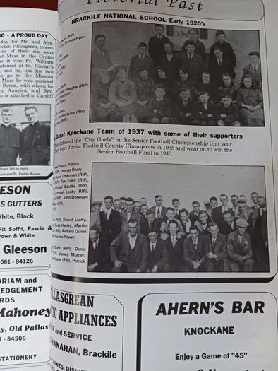 Grean/ 1992/ Pallasgrean Community Council
