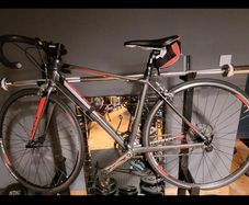 Ladies Bike
