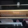 Black piano Image 2