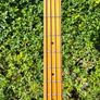 Vintage 1986 Epiphone Accu Bass Image 5