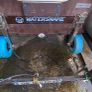 Inflatable boat and trailer Image 7