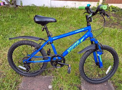 6-Speed Boys Mountain Bike