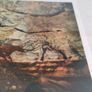 Vintage Braun et CIE Le Lascaux caves Image 8