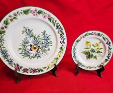 Royal Worcester Herbs Dinnerware , Set of two Rosemary and Black Mustard plates