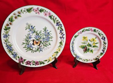 Royal Worcester Herbs Dinnerware , Set of two Rosemary and Black Mustard plates