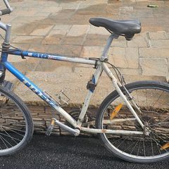 Trek 810 Singletrack Mountain Bike