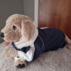 Dog cloth