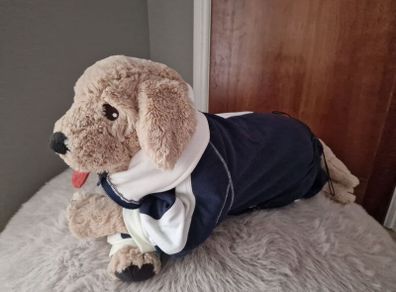 Dog cloth