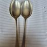 Desert Spoons Image 2