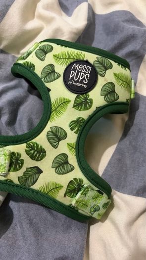 dog harness
