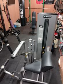 Cybex core strength abdominal/back extension cable machine gym