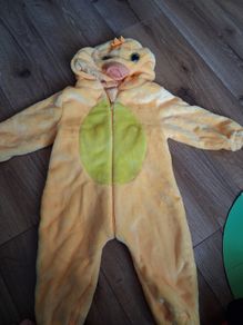 Duck costume